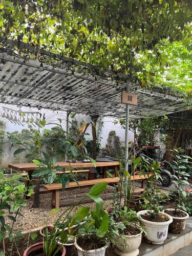 a picnic table in a garden with potted plants at Asahi Luxstay - Homestay Đường Lâm Hostel in Sơn Tây