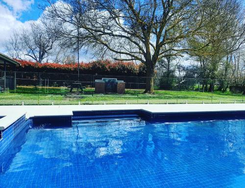 a large blue swimming pool in a yard at The Lancefield Lodge in Lancefield