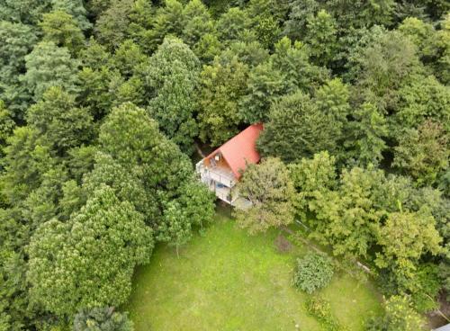an aerial view of a house in the middle of a forest at Cottage Sataplia in Kutaisi