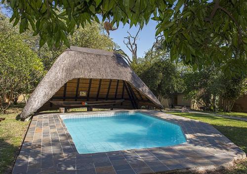 a small swimming pool with a thatch roof at Gondwana Namushasha River Lodge in Kongola