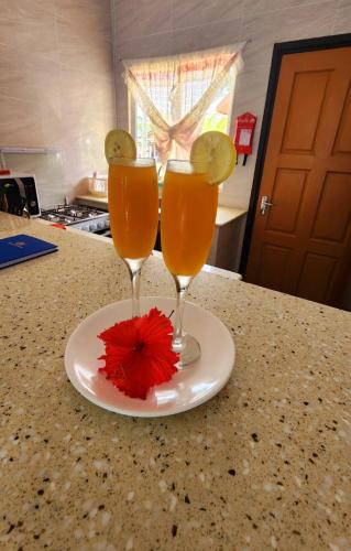two glasses of orange juice on a plate on a counter at Le Nid de Bea Self-catering Apartments in La Digue