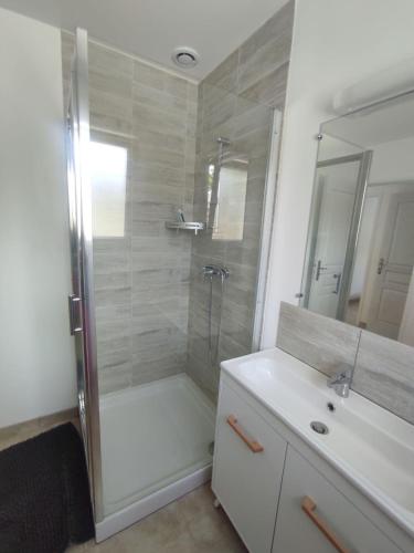 a bathroom with a shower and a sink at Chez CHARLETTE in Les Malots