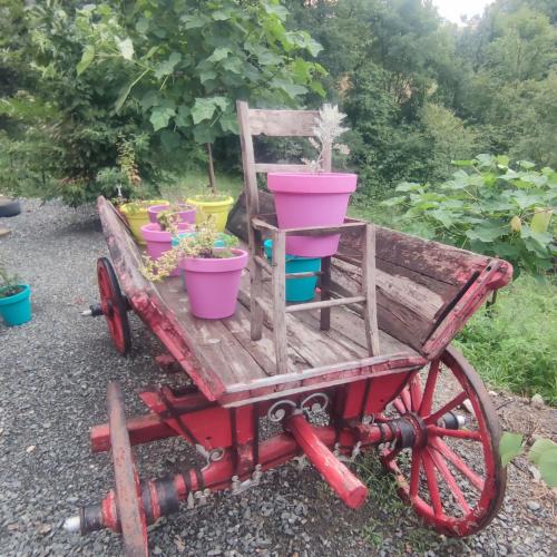 a wooden cart with potted plants on it at Seoski Turizam Feniks - apartman Ostrog in Kosjerić