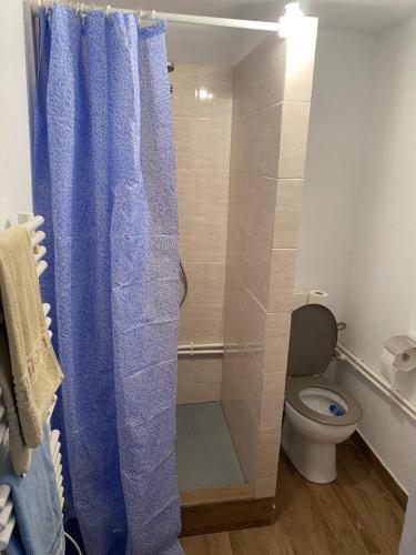 baño con ducha con cortina azul en Casa din deal en Muşca