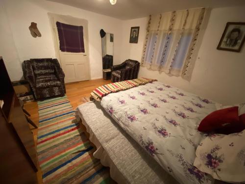 1 dormitorio con cama y alfombra en Casa din deal en Muşca