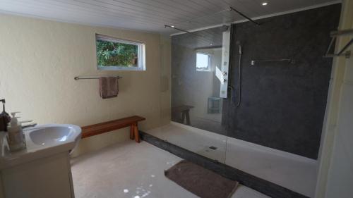 y baño con ducha y lavamanos. en Stellar Overberg Travellers Lodge, en Napier