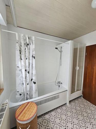 a bathroom with a shower and a toilet and a stool at Große Ferienwohnung am Waldrand in Schönau