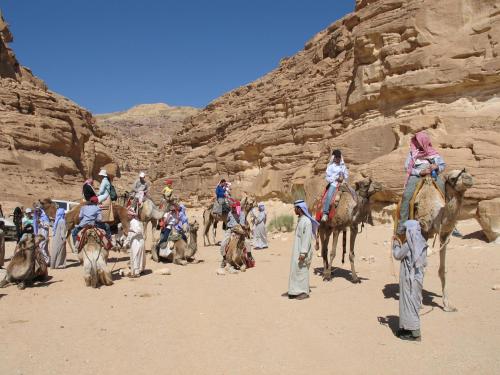 a group of people riding camels in the desert at Fox Camp (Moses Lodge) in Saint Catherine