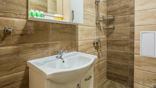 a bathroom with a sink and a shower at The old Bakery Apartments in Plovdiv