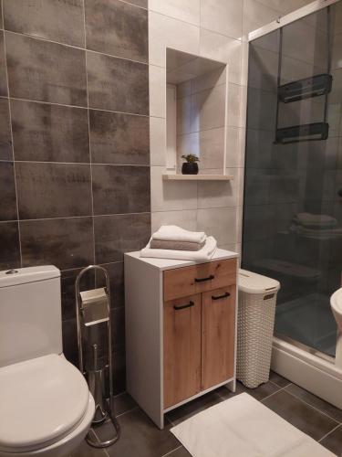 a bathroom with a toilet and a sink and a shower at Holiday House Teza in Svetvinčenat