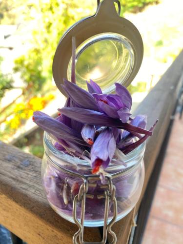 a glass jar filled with purple flowers on a table at B&B immerso nel bosco con area benessere esclusiva nel cuore delle montagne - IDUEVAGAMONDI in Chiusa di Pesio