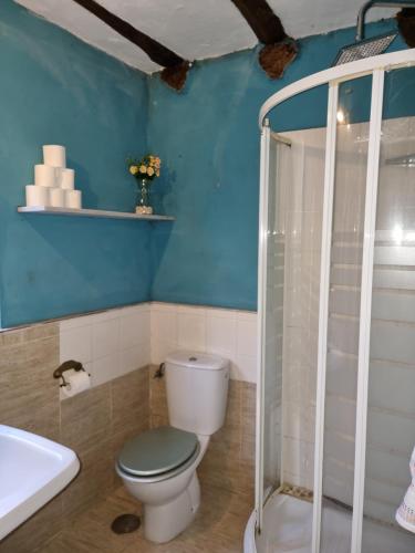 y baño con aseo y ducha. en Corias Casona junto al Narcea en Corias