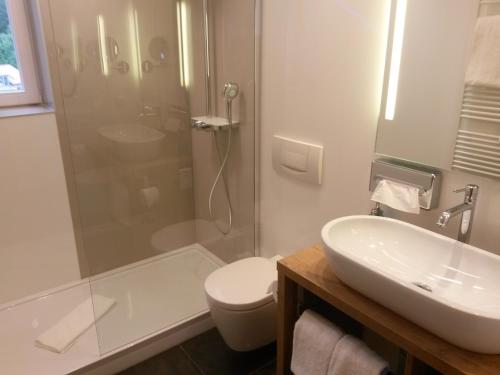 a bathroom with a shower and a toilet and a sink at Das Waldhotel - Genuss & Wellness am Notschreipass in Todtnau