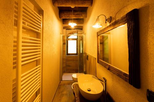 een badkamer met een wastafel, een toilet en een spiegel bij IDUEVAGAMONDI di Simone Mondino in Chiusa di Pesio