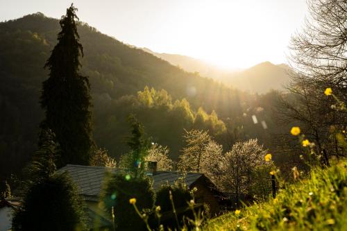 a view of a mountain with a house and trees at B&B immerso nel bosco con area benessere esclusiva nel cuore delle montagne - IDUEVAGAMONDI in Chiusa di Pesio