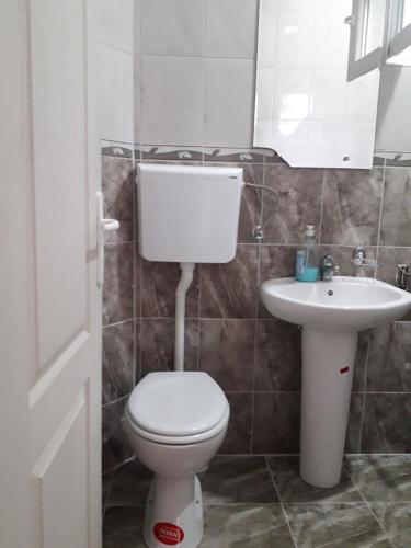 a bathroom with a toilet and a sink at VILANATALIJA PANSION, APATIN in Apatin