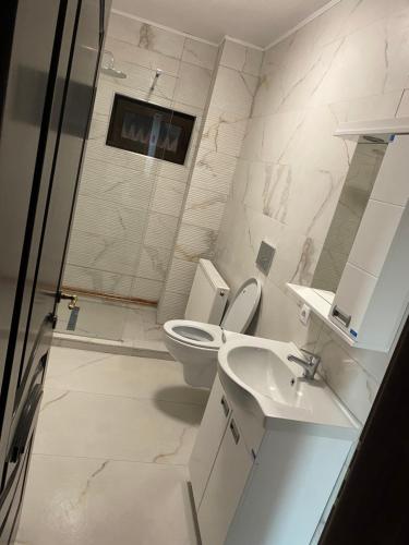 La salle de bains est pourvue de toilettes, d'un lavabo et d'une douche. dans l'établissement Casa Villa, à Oradea