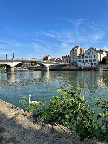 Le petit Marnais - 15mn Disneyland - 25mn Paris