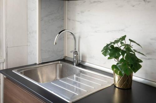 a stainless steel sink in a kitchen with a potted plant at Chic appartement proche métro in Paris