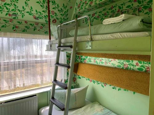 a bunk bed in a room with a ladder at zz_Lokschuppen Pasewalk-Erlebnisübernachtung im Schlafwagen in Pasewalk