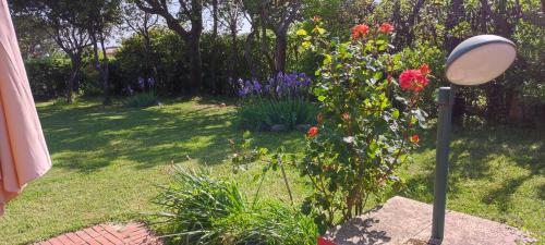 a garden with a bush with flowers and a light at Villa Quadrifoglio in Arenzano