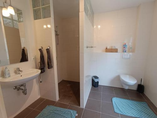 een badkamer met een douche, een wastafel en een toilet bij Ferienhaus in der Schleife 1 in Rendsburg