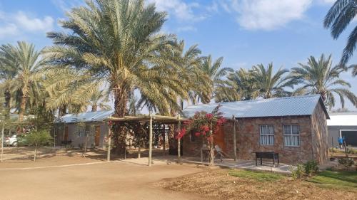 a house with a palm tree in front of it at Gazelle Estate in Kakamas