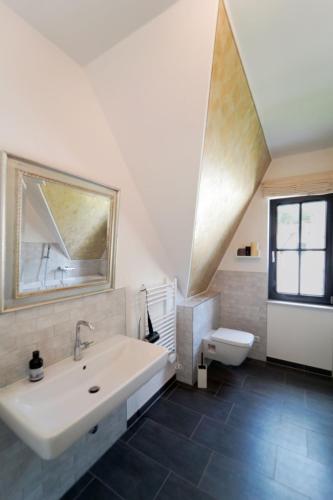 a bathroom with a sink and a mirror and a toilet at Ferienhaus Oogenstern -ruhige Lage- in Zirchow