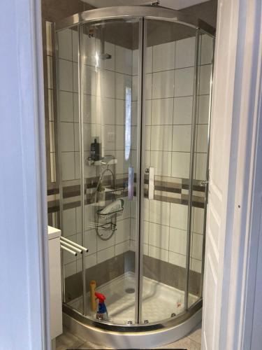 a glass shower in a bathroom with a toy at La « cabaneste » dans Arreau in Arreau