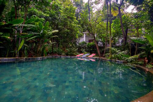 a swimming pool in the middle of a garden with trees at Wild Nest Villa Unawatuna in Unawatuna