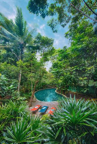 una piscina en medio de un bosque en Wild Nest Villa Unawatuna, en Unawatuna