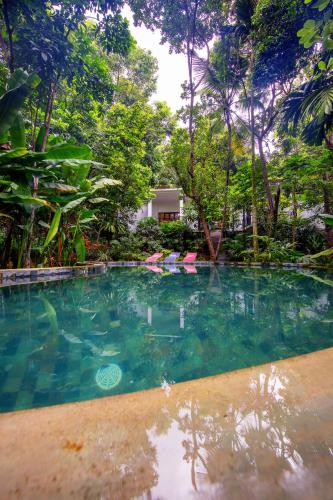 una piscina en medio de un bosque en Wild Nest Villa Unawatuna, en Unawatuna