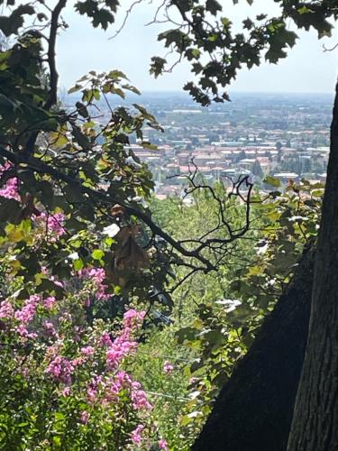 a view from the top of a hill with flowers at La Cascina di Bea in Torre Boldone