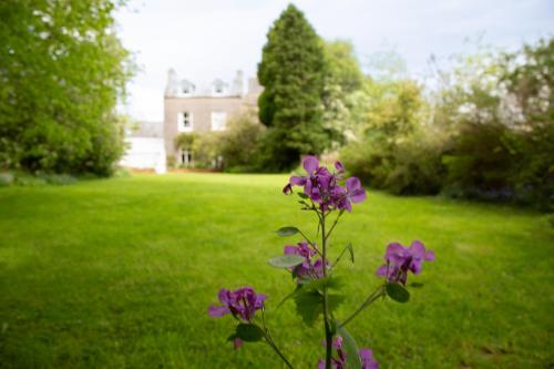 a flower in a yard with a house in the background at Redmayne House in Lake District National Park