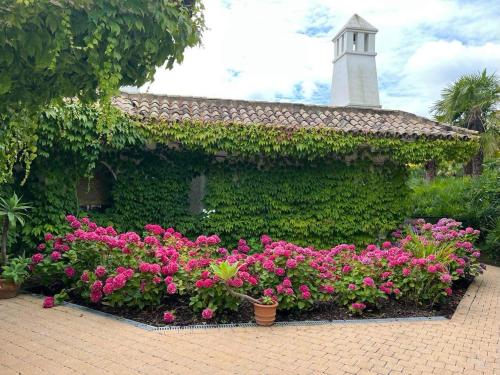 VILLA MONTANA – Photos 2