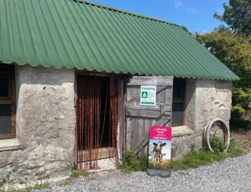 a small building with a green roof and a sign at Penhallow House in Newlyn East