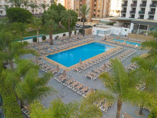 ベニドルムにあるFlash Hotel Benidorm - Recommended Adults Only 4 Supのヤシの木と椅子が備わるプールの景色を見渡せます。