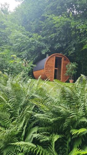 a wooden cabin in the middle of a field of plants at 4 Sterne-Haus am See in Waren