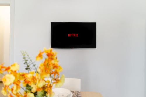 TV a/nebo společenská místnost v ubytování Palazzo Cilento - Appartamenti a due passi dal mare