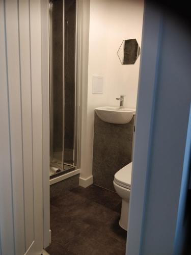 a bathroom with a toilet and a sink at The Arches - The Big Yin in Stirling