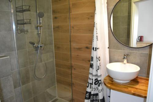 W łazience znajduje się prysznic, umywalka i lustro. w obiekcie Dom Goscinny Aurora w Dziwnówku