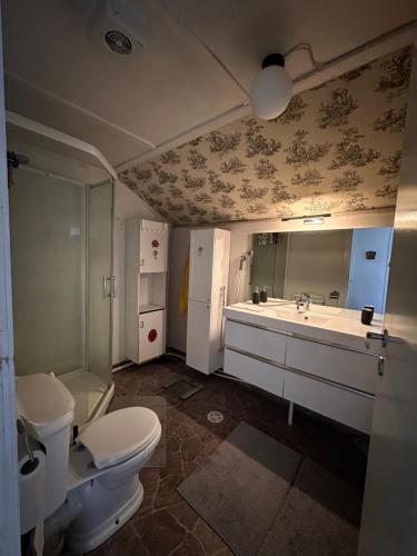 a bathroom with a toilet and a sink and a refrigerator at Oslo Guest House Twin & Family room in Kjeller