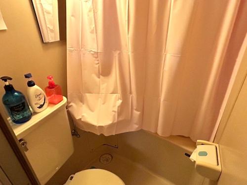 a bathroom with a white shower curtain and a toilet at Casa Viento Stay Inn in Hiroshima