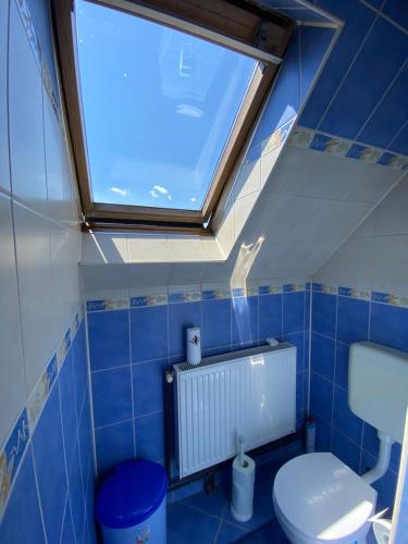 JoseniにあるFűzfa Apartmanのトイレと窓のあるバスルーム