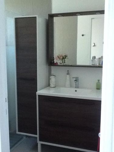 une salle de bain avec un lavabo et un miroir dans l'établissement Soleil et piscine au calme d'Avignon, sur l'ile de la BARTHELASSE, à Avignon