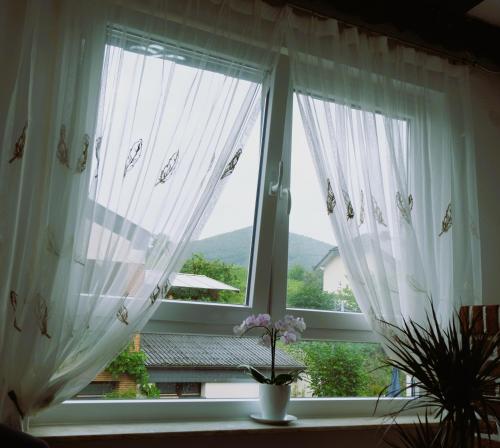a window with white curtains and a potted plant at Blue Lagoon in Nehren