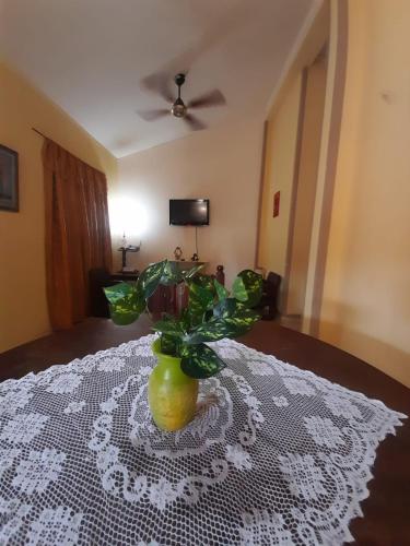 Apart incone – Photos 2