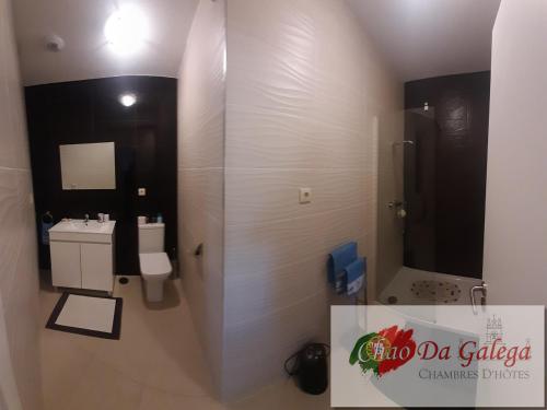 La salle de bains est pourvue d'un lavabo, de toilettes et d'un miroir. dans l'établissement Chao da GALEGA, 