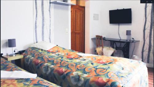 um quarto de hotel com duas camas e uma televisão em Ferienwohnung Holl em Worms