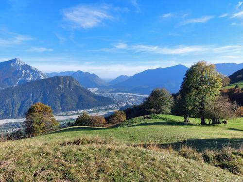 a green hill with trees and mountains in the background at Rifugio Fornas in Tolmezzo